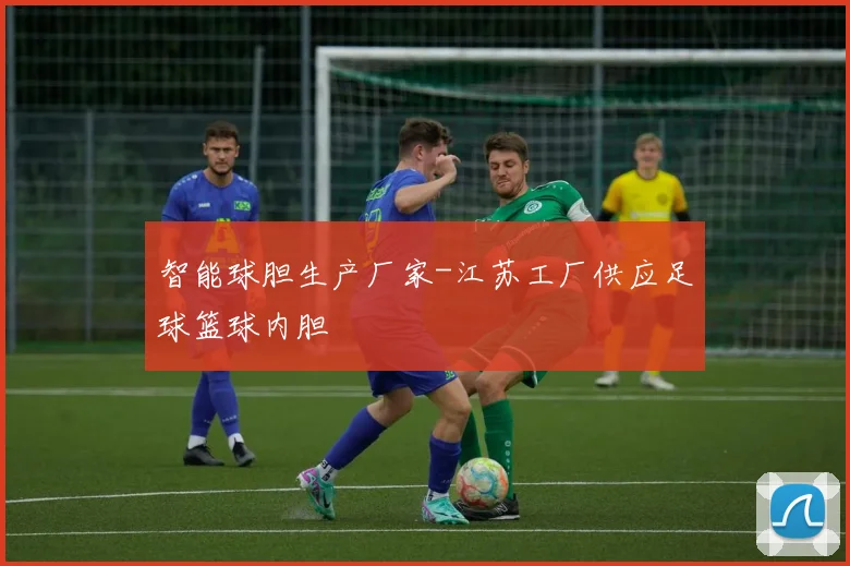 智能球胆生产厂家-江苏工厂供应足球篮球内胆