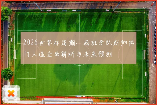 2026世界杯周期，西班牙队新帅热门人选全面解析与未来预测