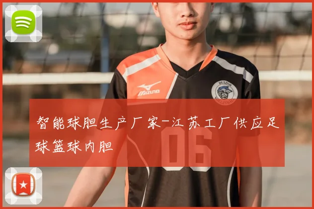 智能球胆生产厂家-江苏工厂供应足球篮球内胆